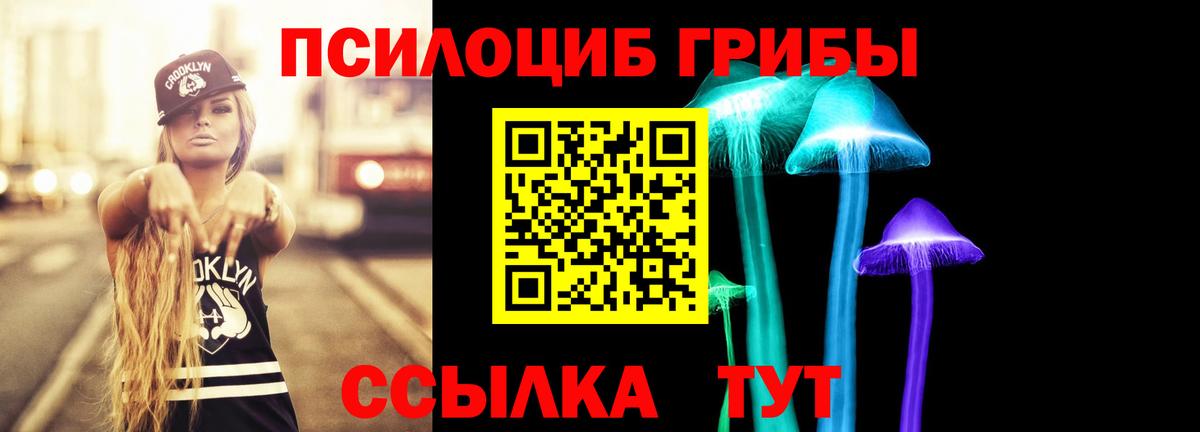 Железногорск  Галлюциногенные грибы ЛСД  Вход с VPN 